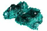 Gemmy Dioptase Crystal Cluster - Renéville Mine, Congo #168639-2